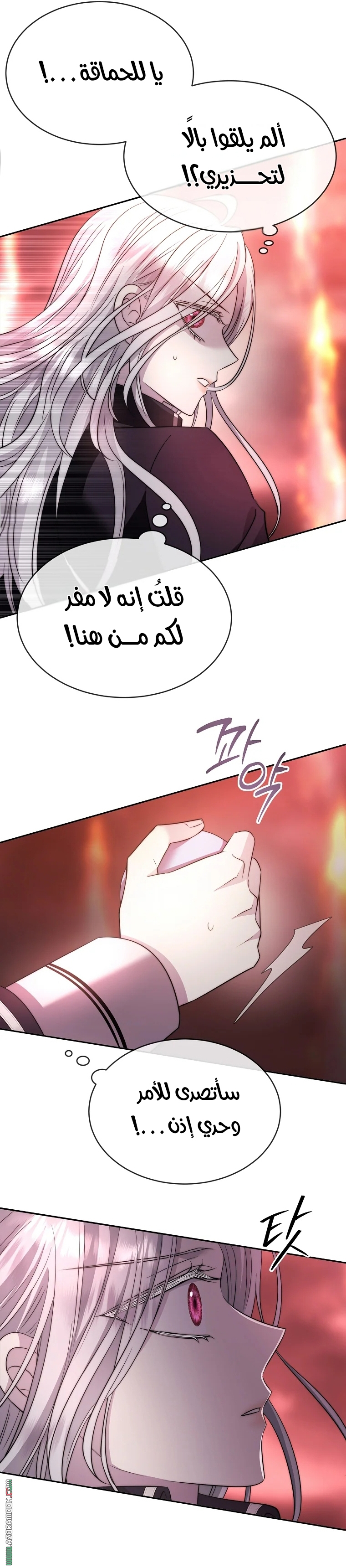 الصفحة 31