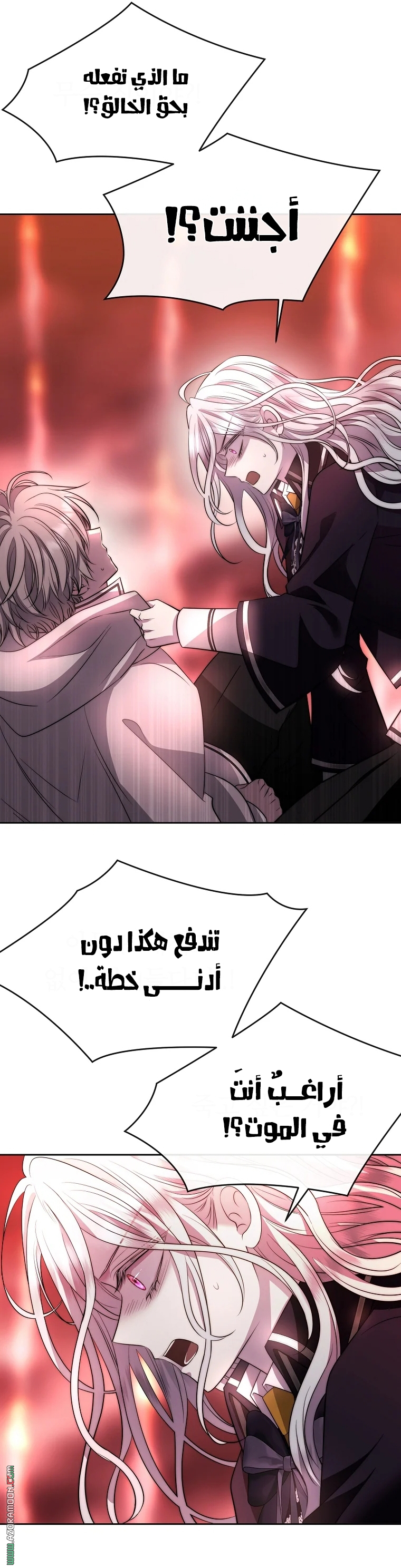 الصفحة 11