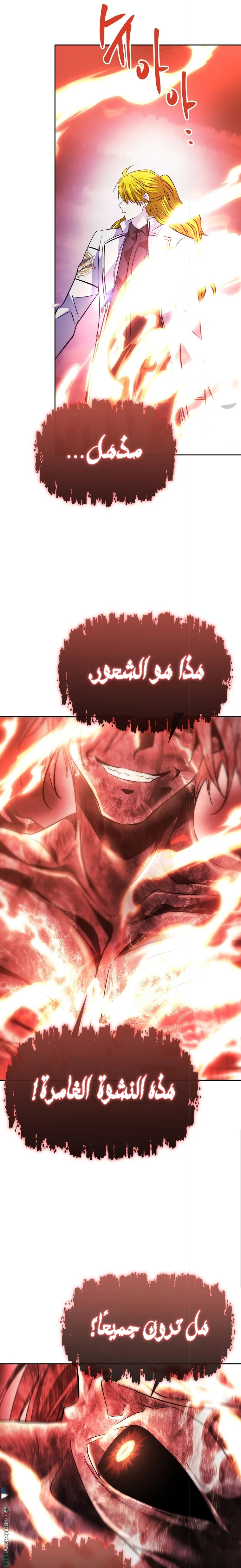 الصفحة 29
