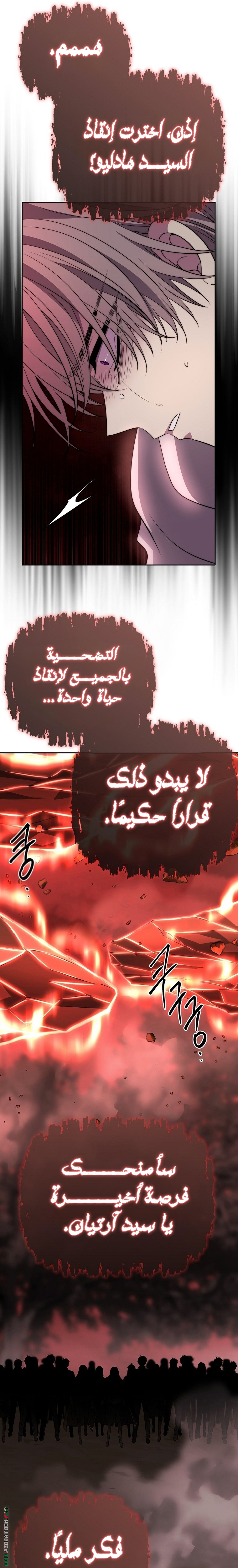 الصفحة 17