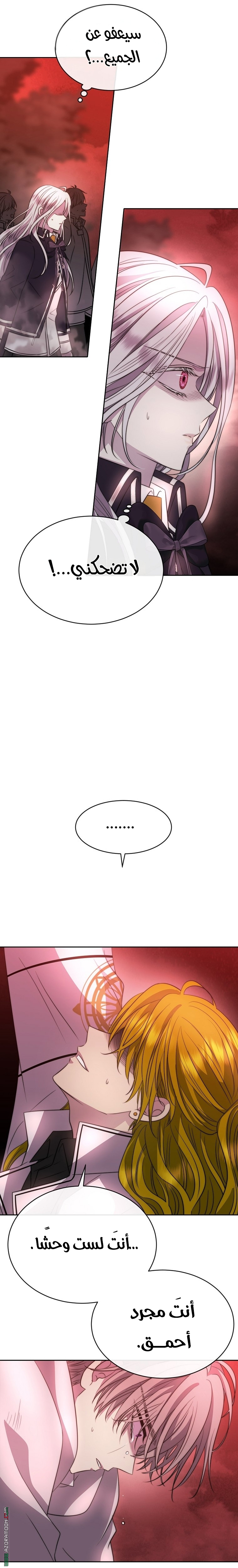 الصفحة 19