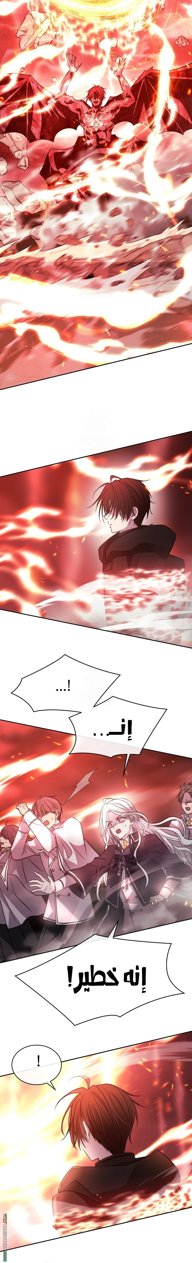 الصفحة 17