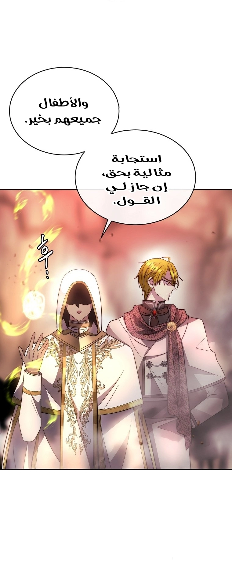 الصفحة 13