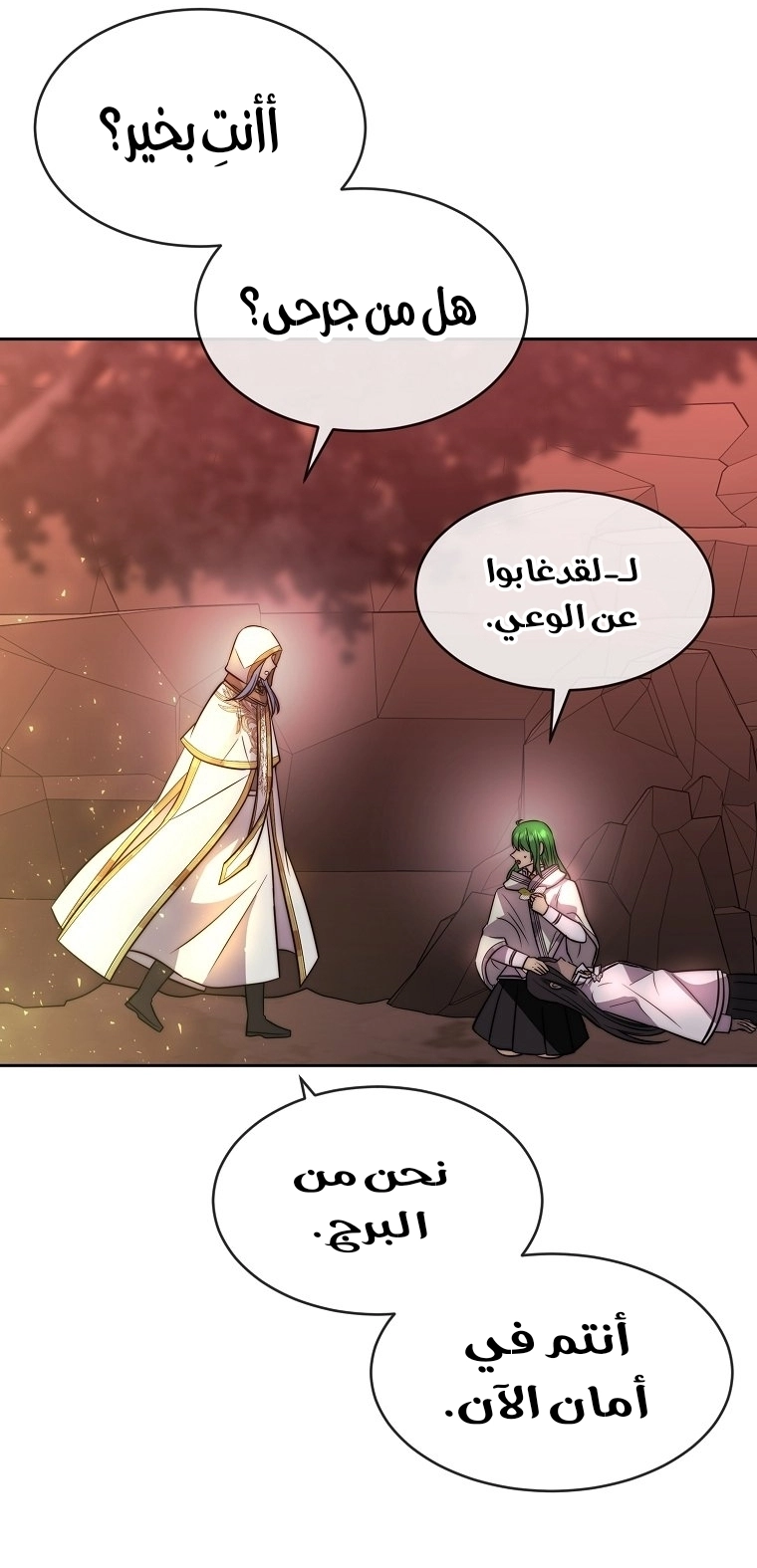 الصفحة 19