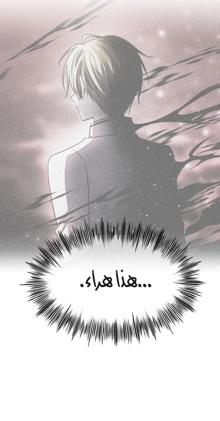 الصفحة 63
