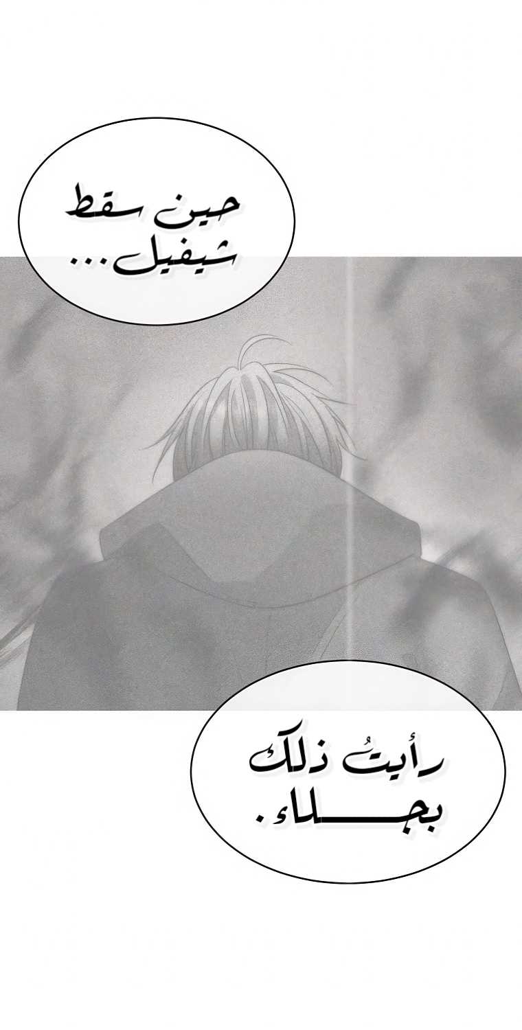 الصفحة 42