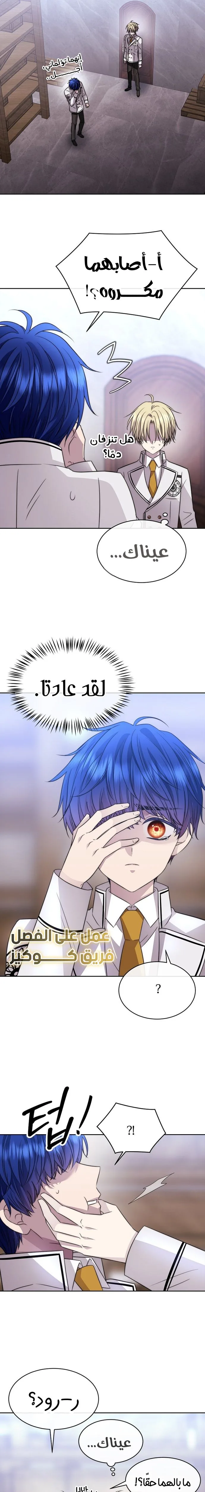 الصفحة 17