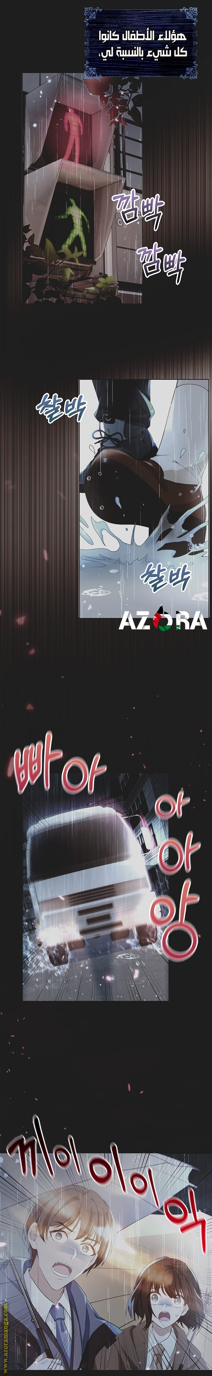 الصفحة 25