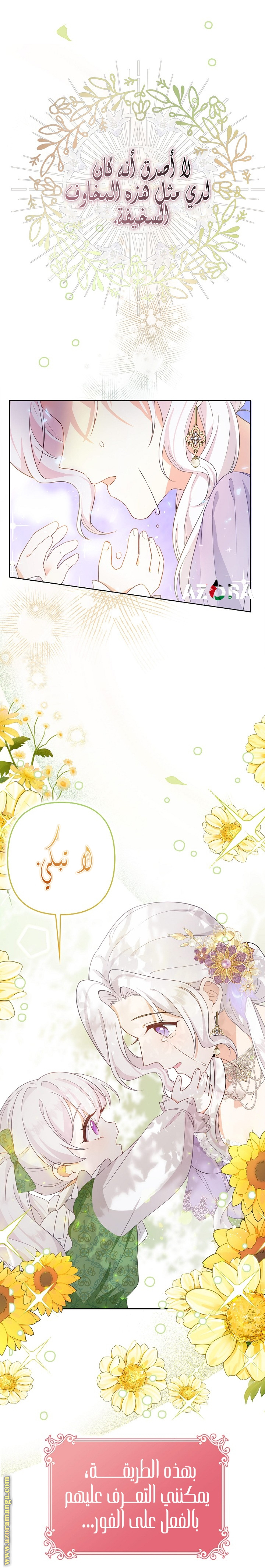 الصفحة 29