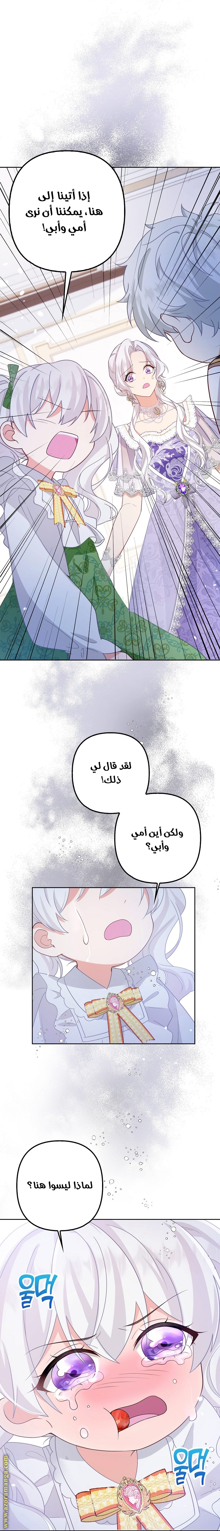 الصفحة 17
