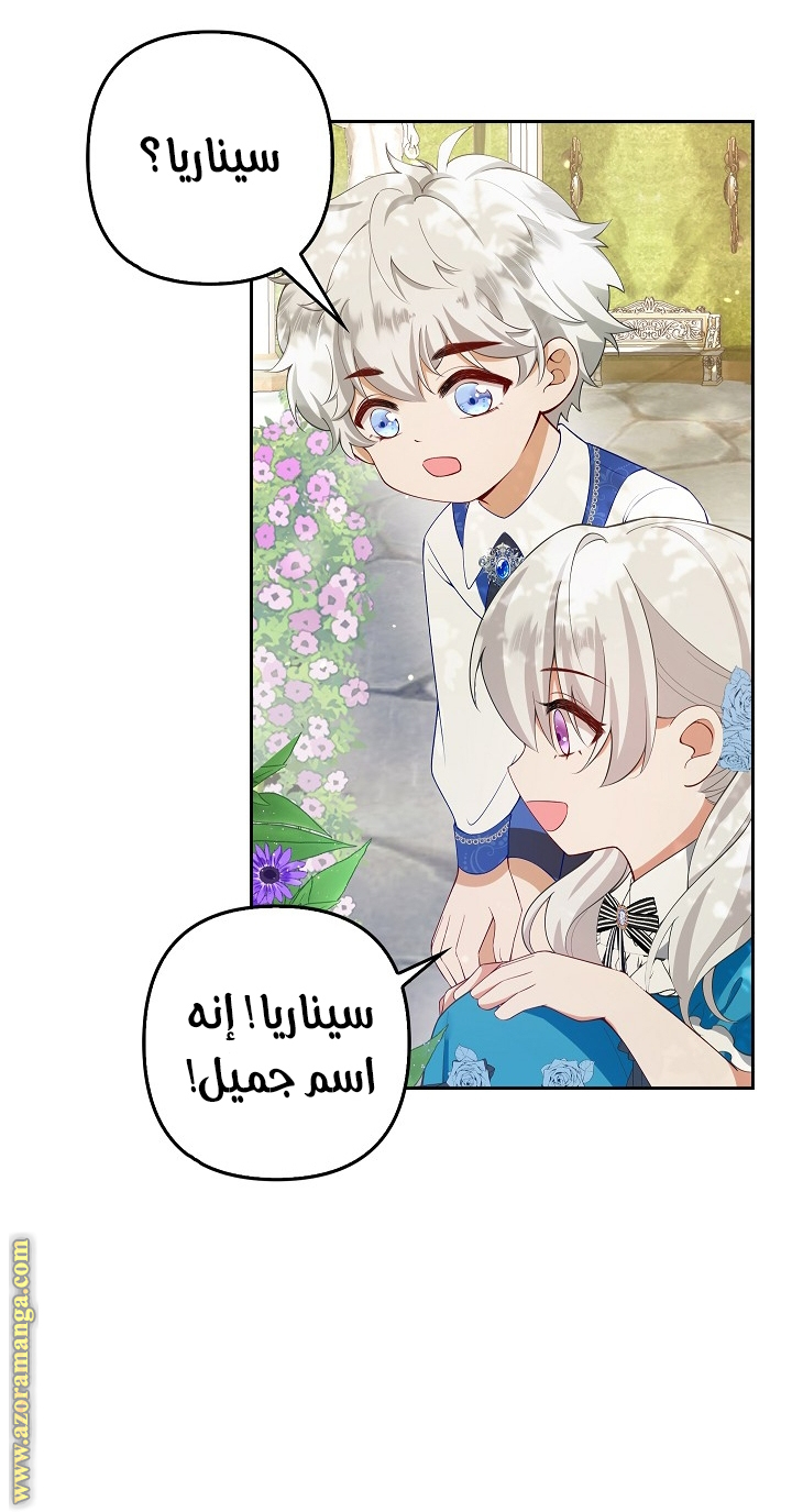 الصفحة 27