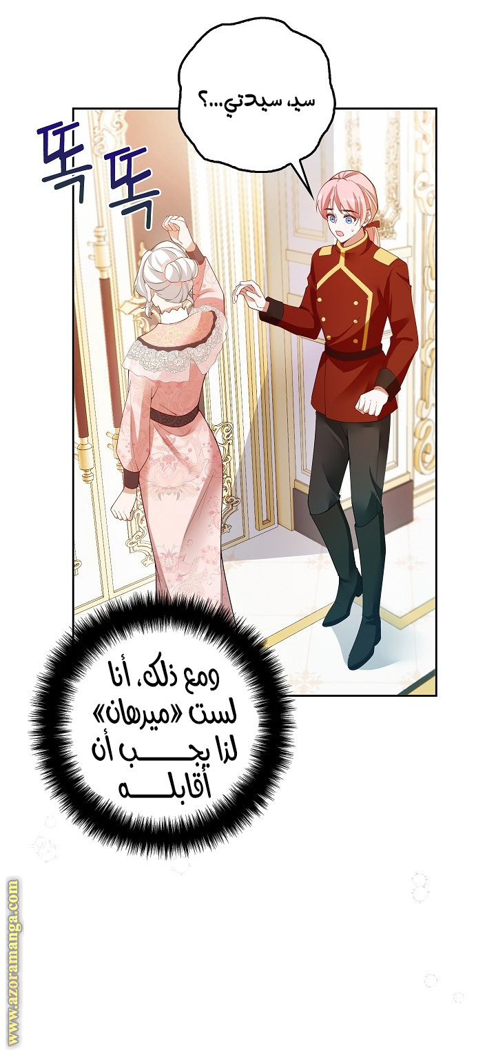 الصفحة 39