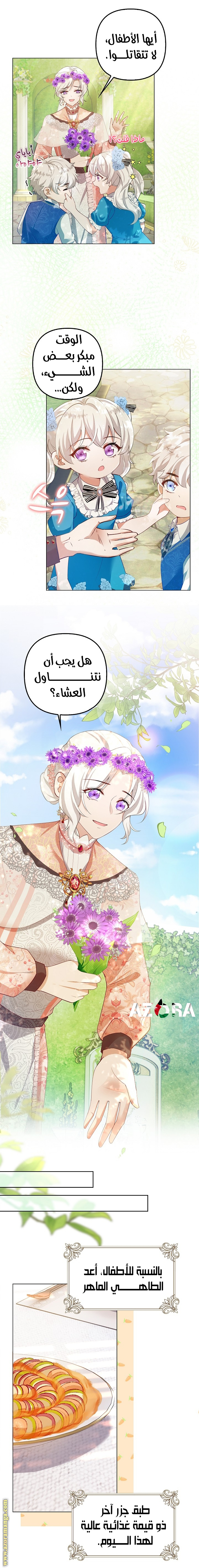 الصفحة 13