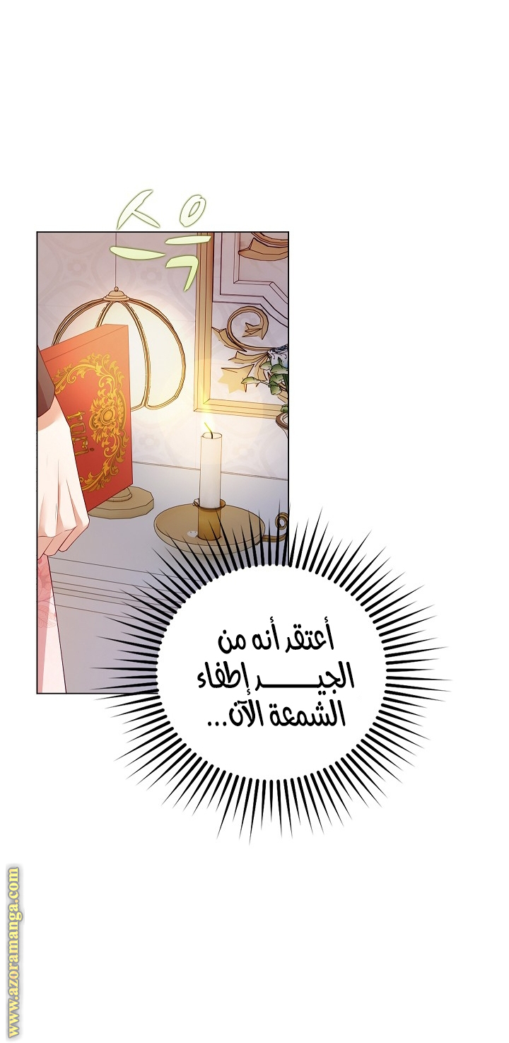 الصفحة 17