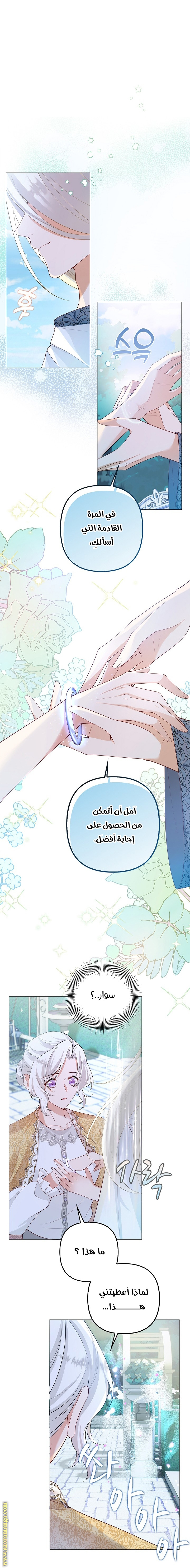 الصفحة 13