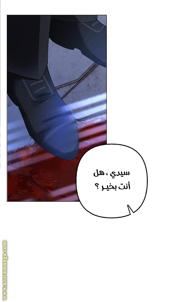 الصفحة 28