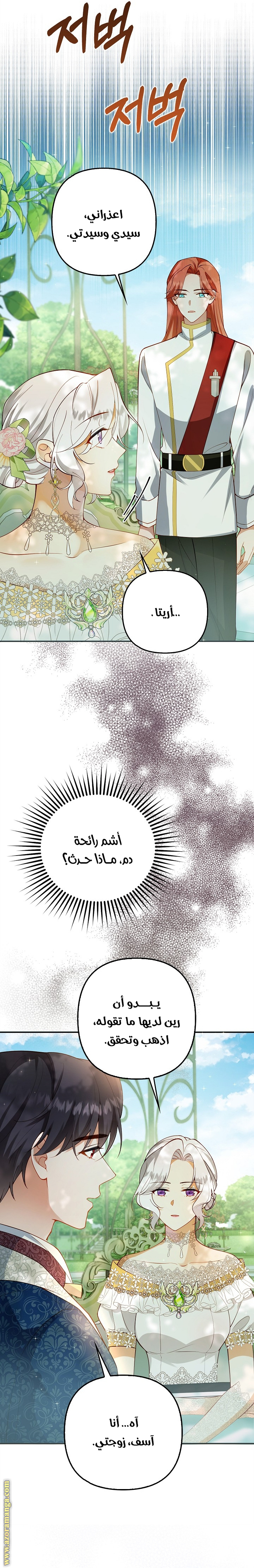 الصفحة 17