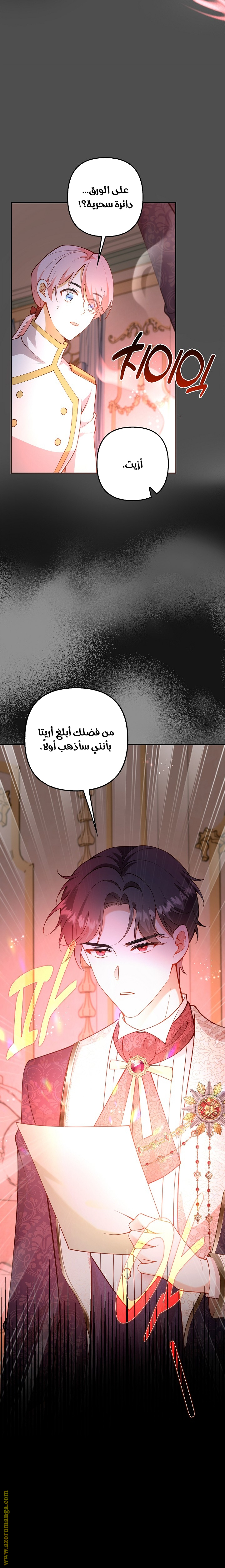 الصفحة 13