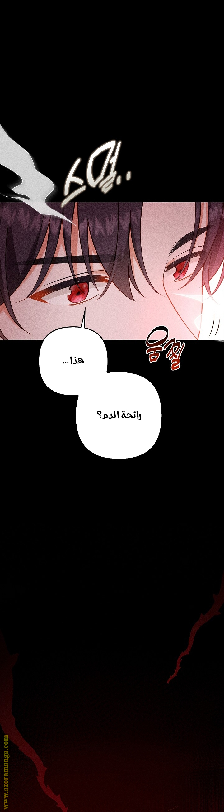 الصفحة 17