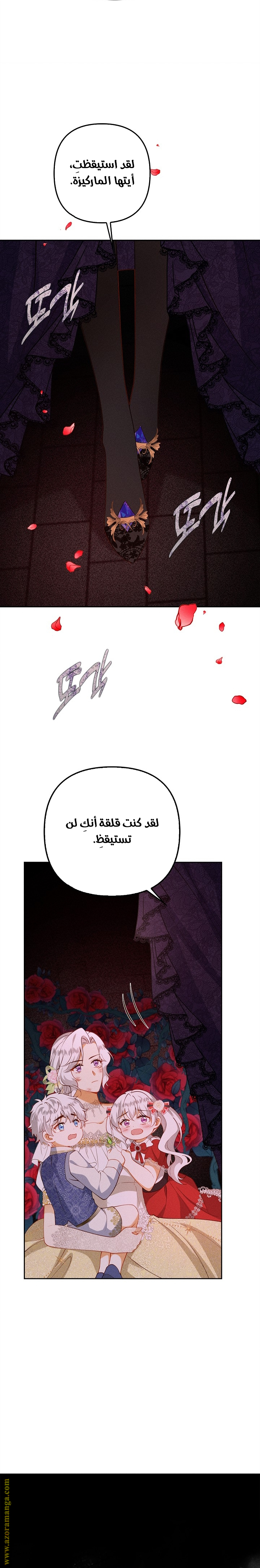 الصفحة 26
