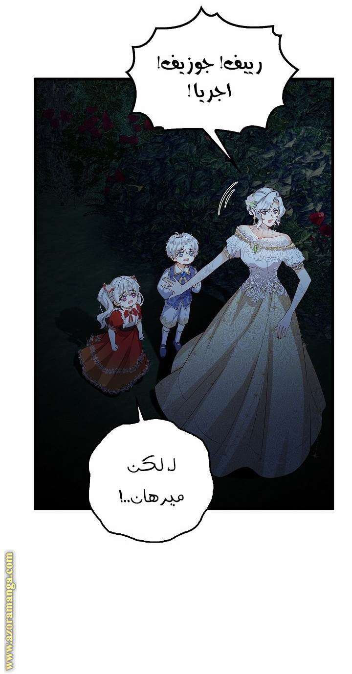 الصفحة 27