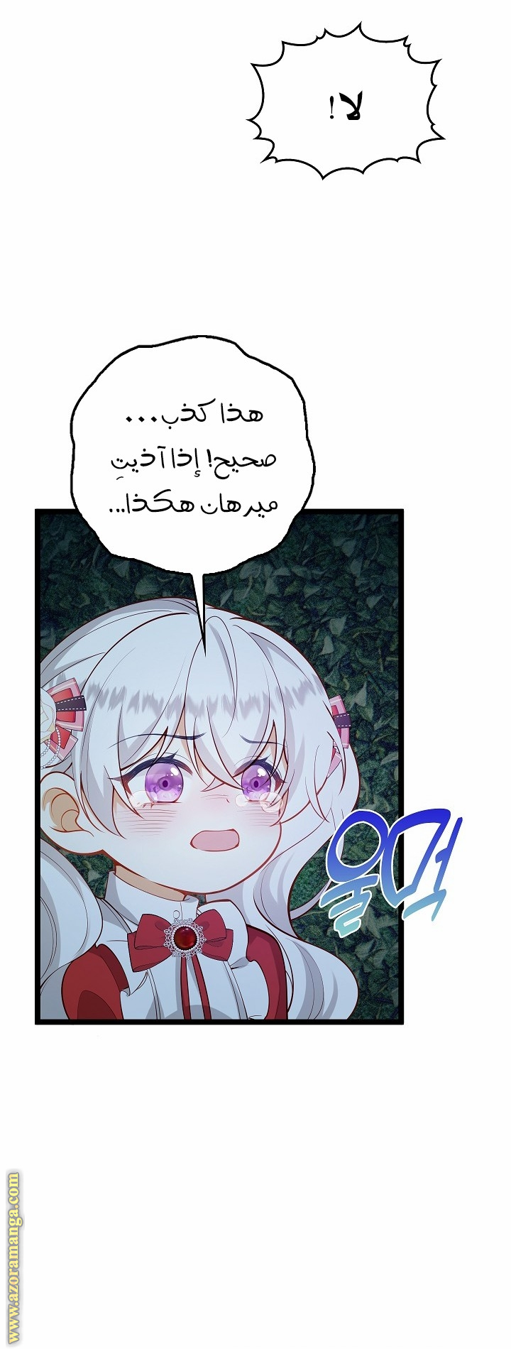 الصفحة 35