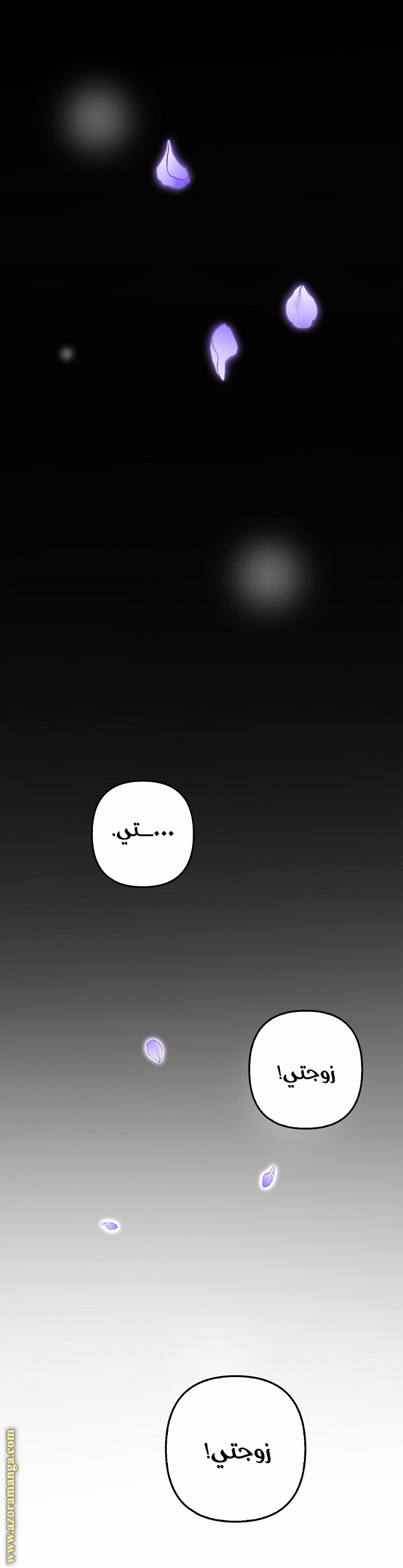الصفحة 46