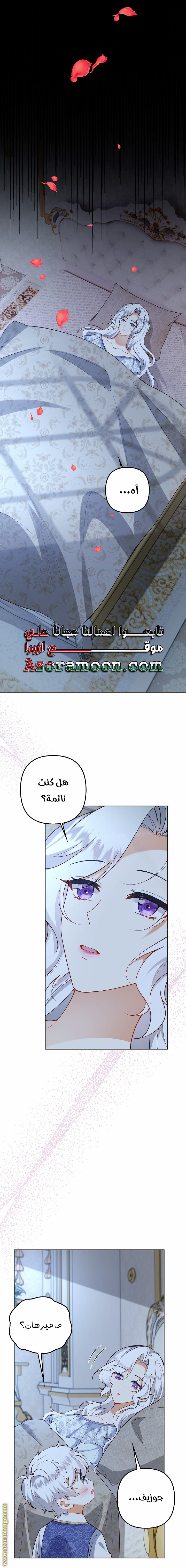الصفحة 13