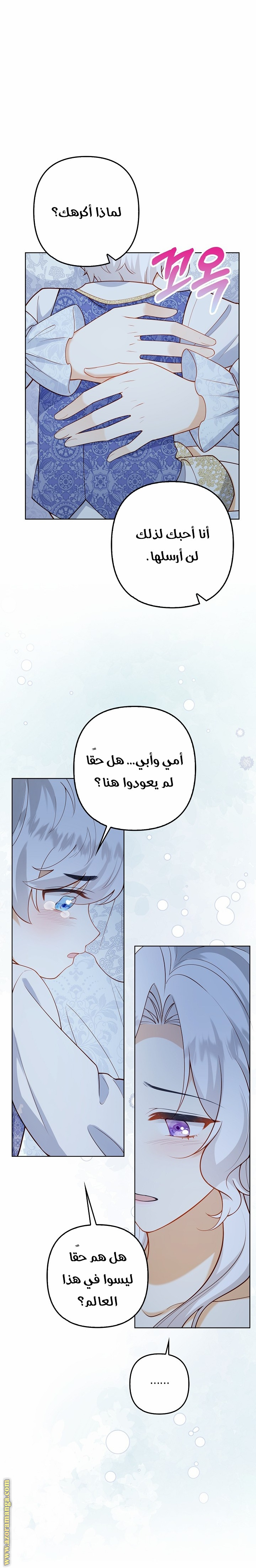 الصفحة 17