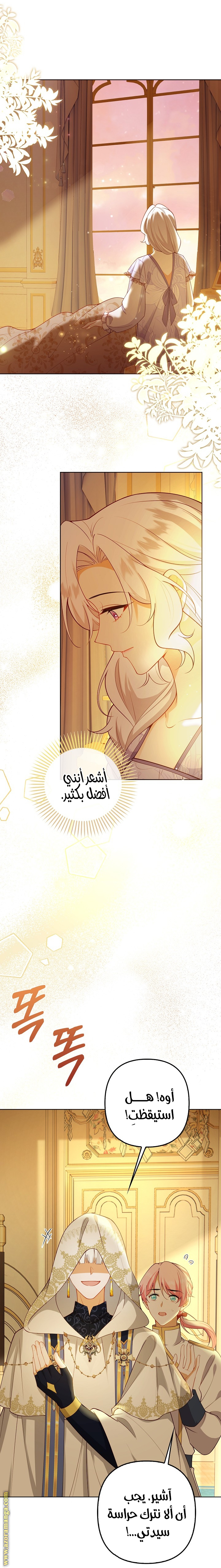 الصفحة 2