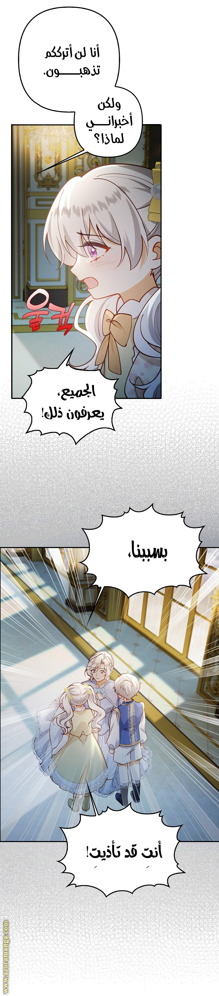 الصفحة 17