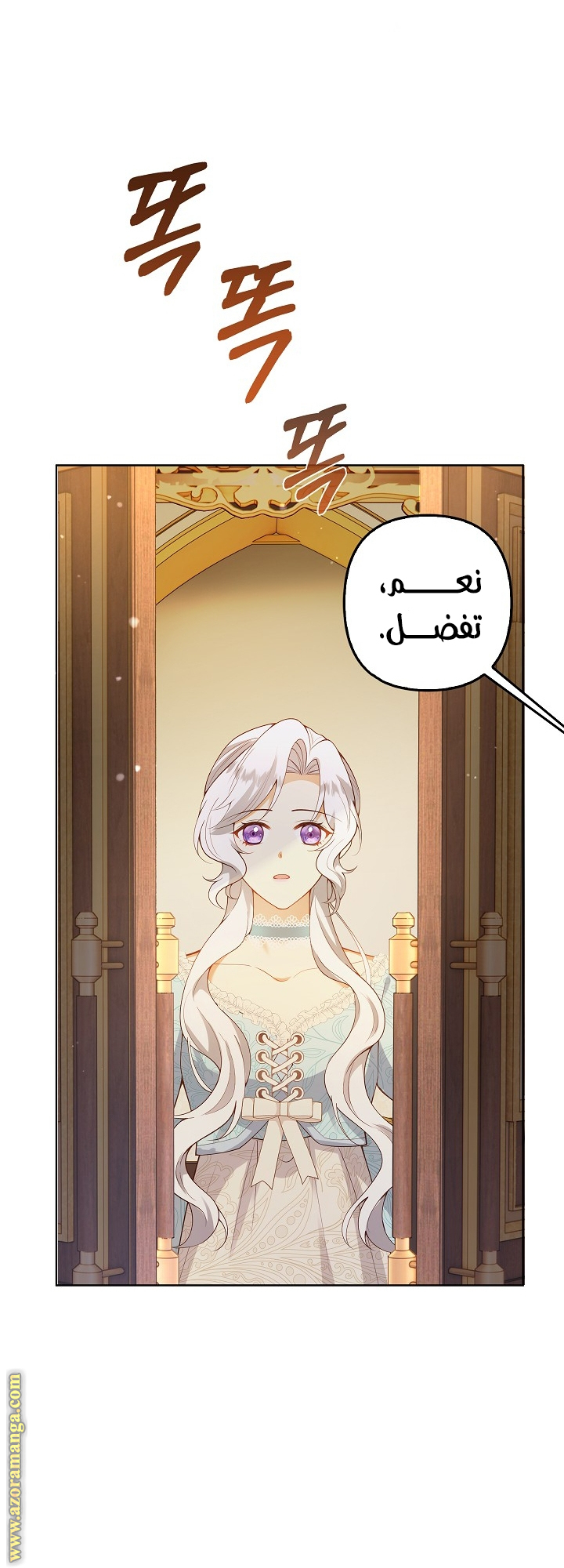 الصفحة 17