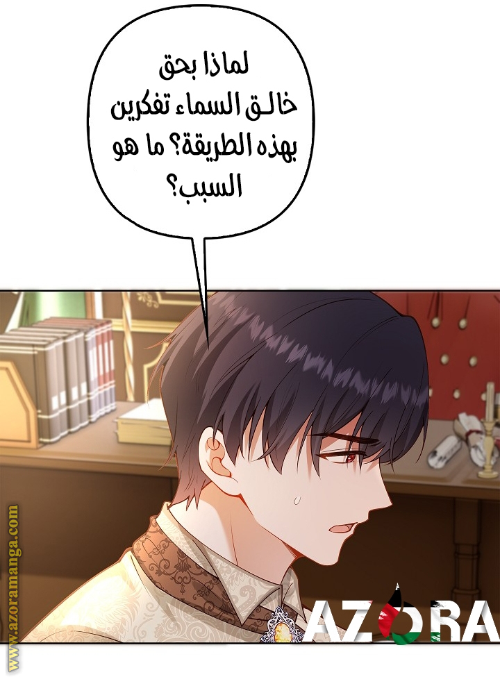 الصفحة 29
