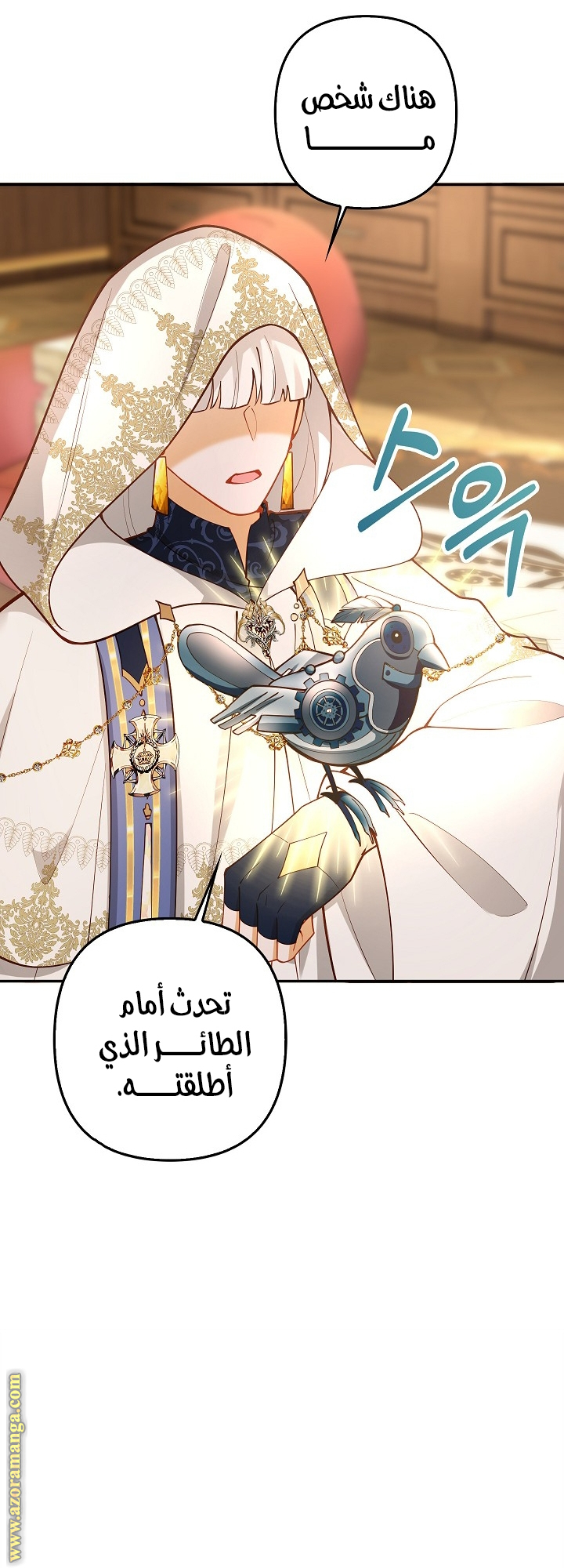 الصفحة 11