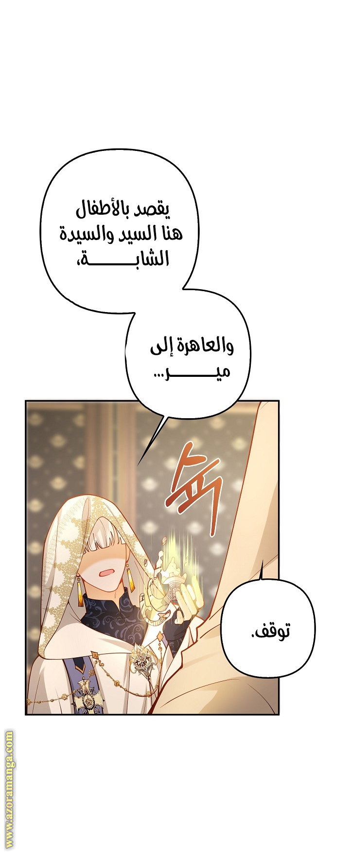 الصفحة 17