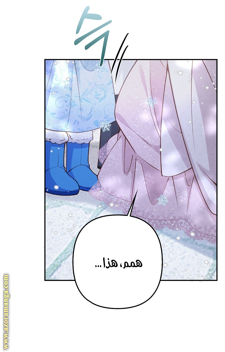 الصفحة 41