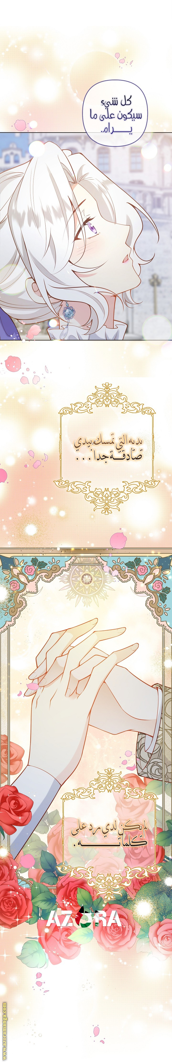 الصفحة 17