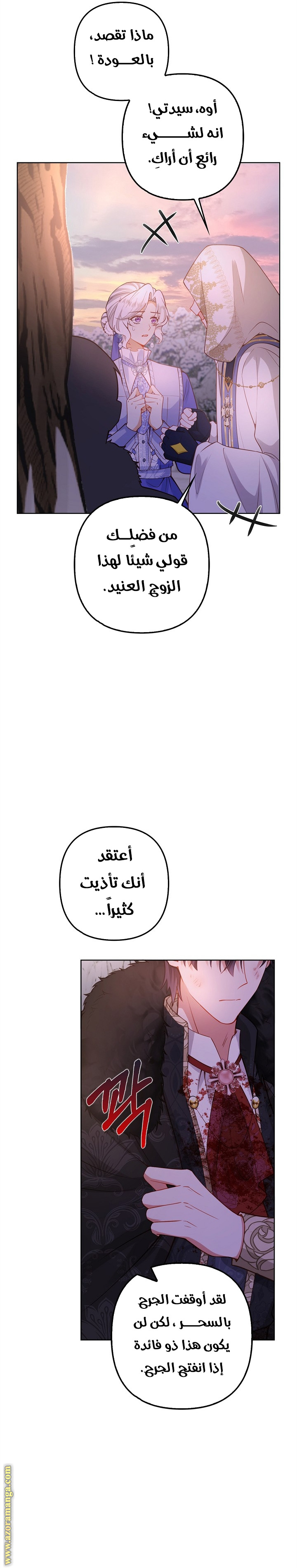 الصفحة 13