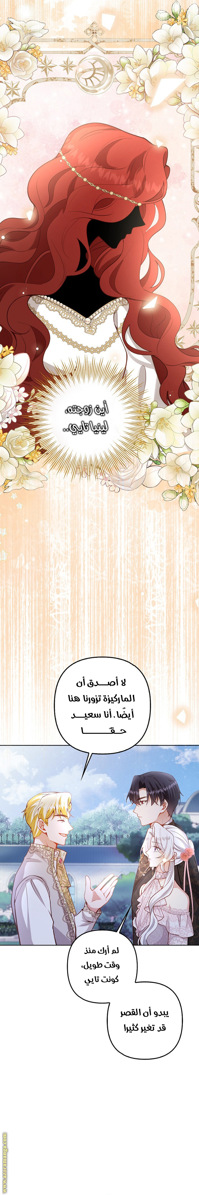الصفحة 17