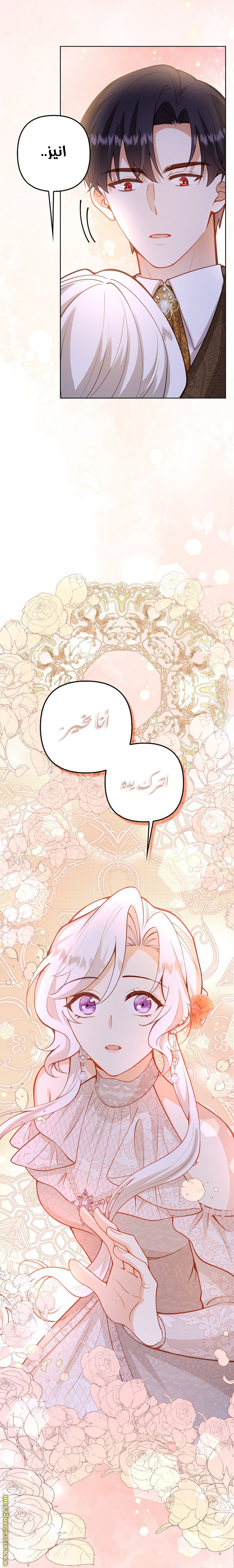 الصفحة 30