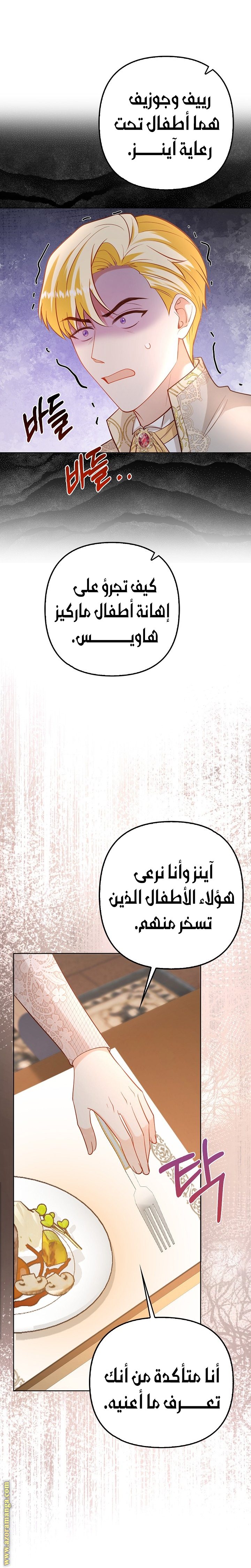الصفحة 25