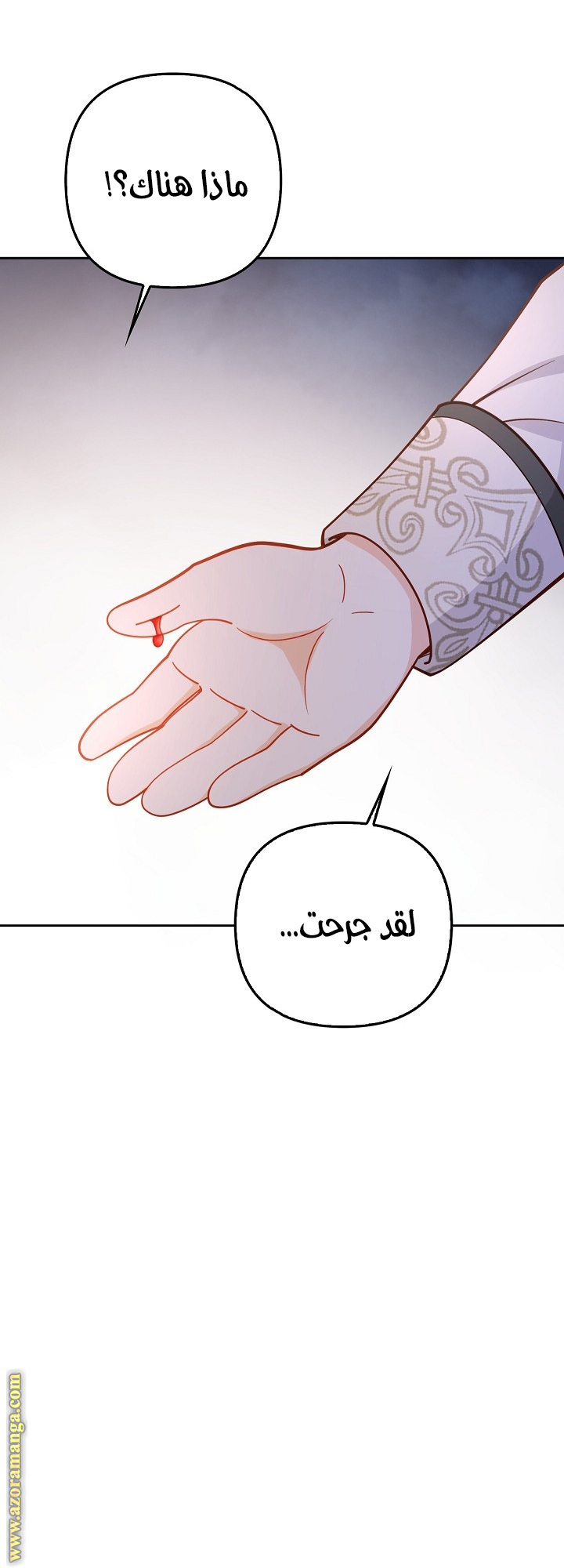 الصفحة 35