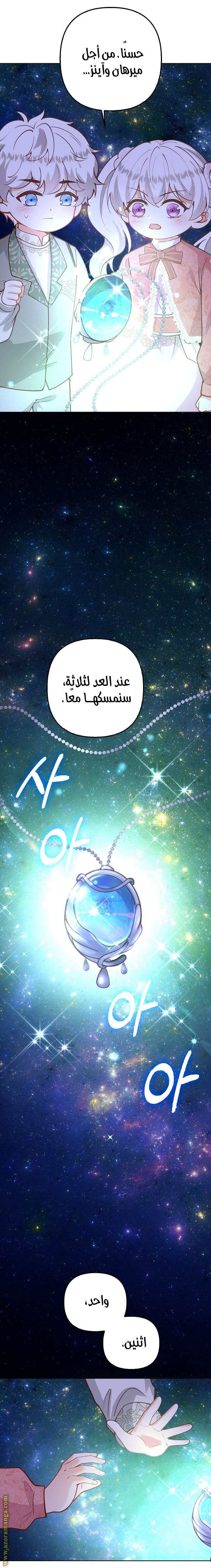 الصفحة 13