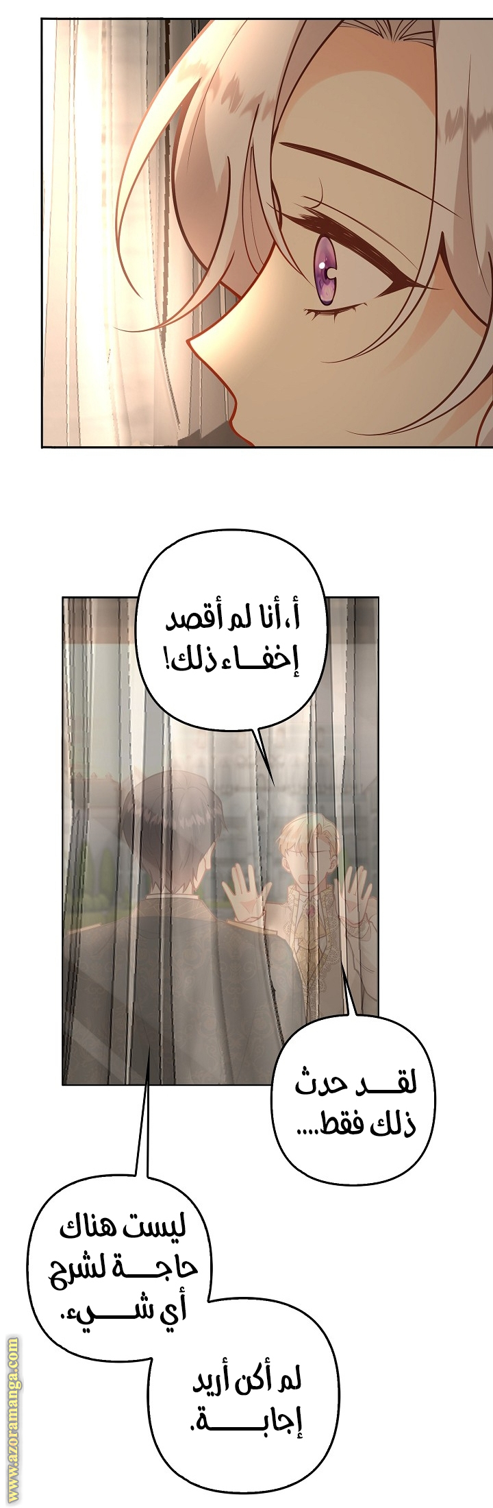 الصفحة 29