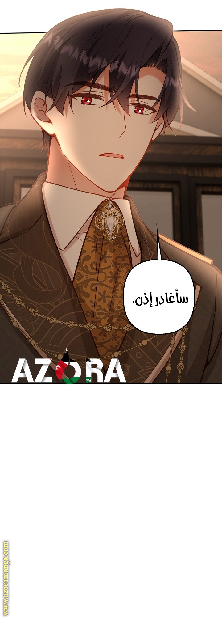 الصفحة 31