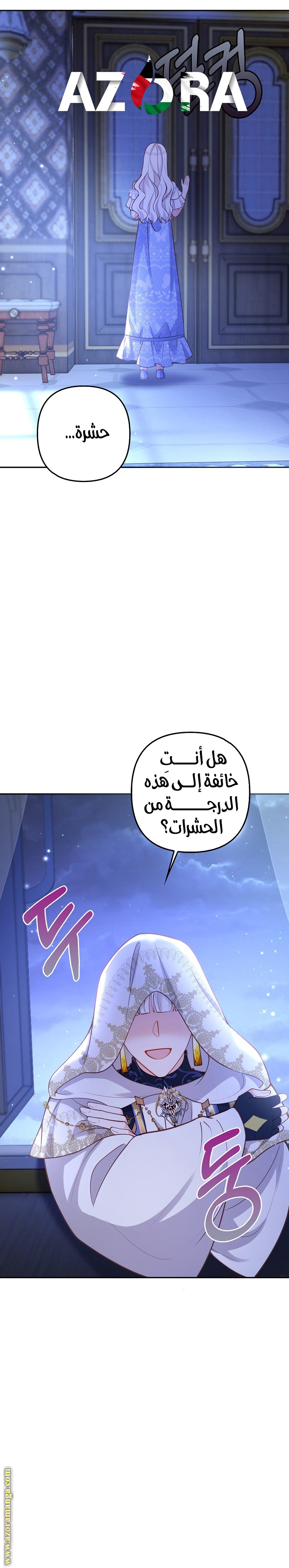 الصفحة 17