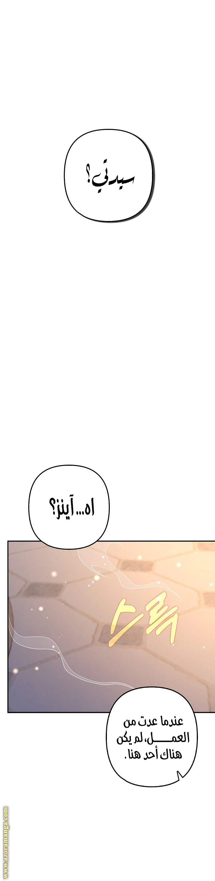 الصفحة 17