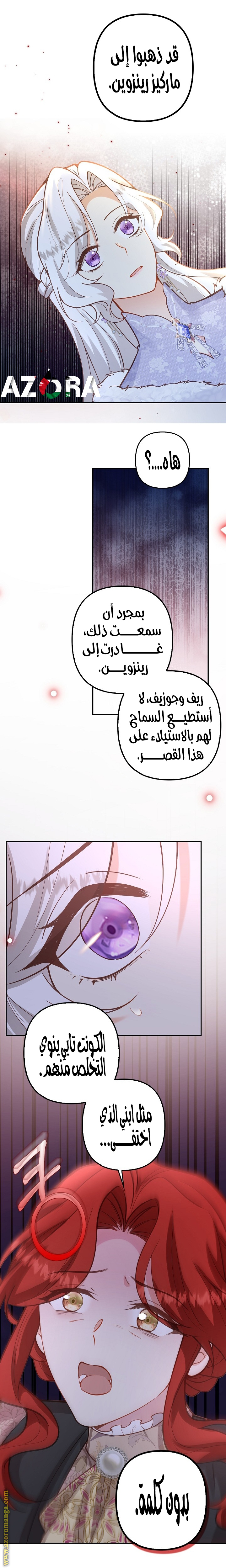 الصفحة 12
