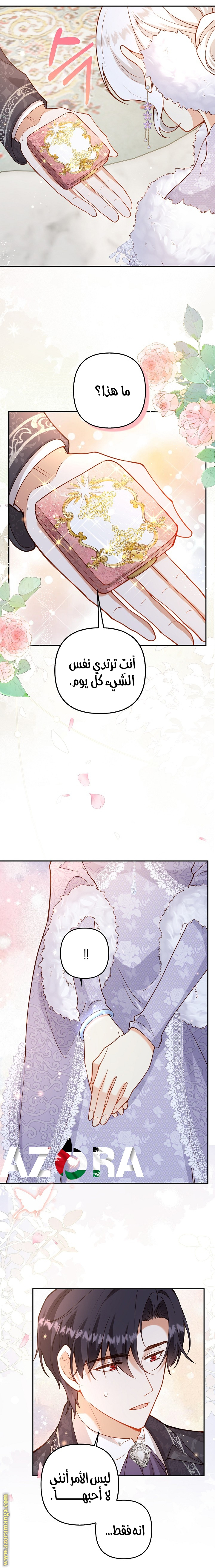 الصفحة 13