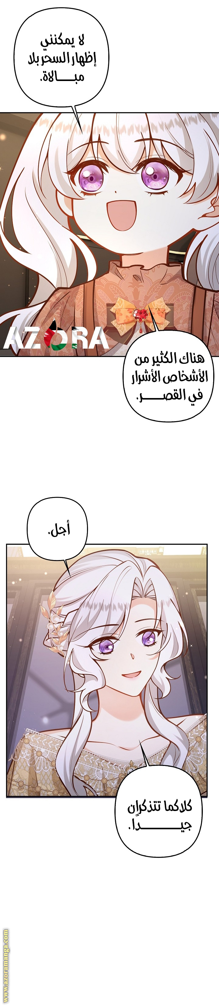 الصفحة 17